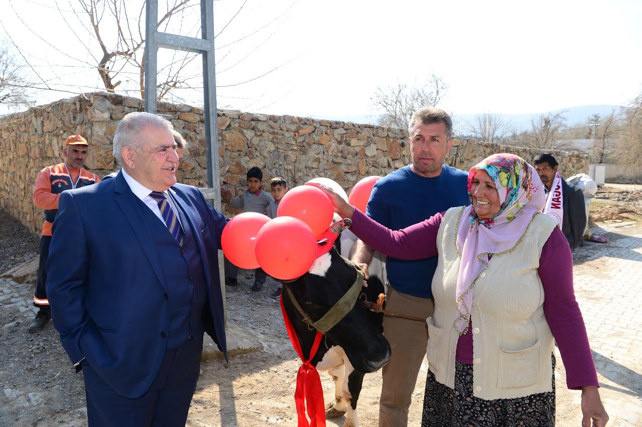 TORUNLARININ EĞİTİMİ İÇİN BAŞBAKANDAN İNEK İSTEDİ
