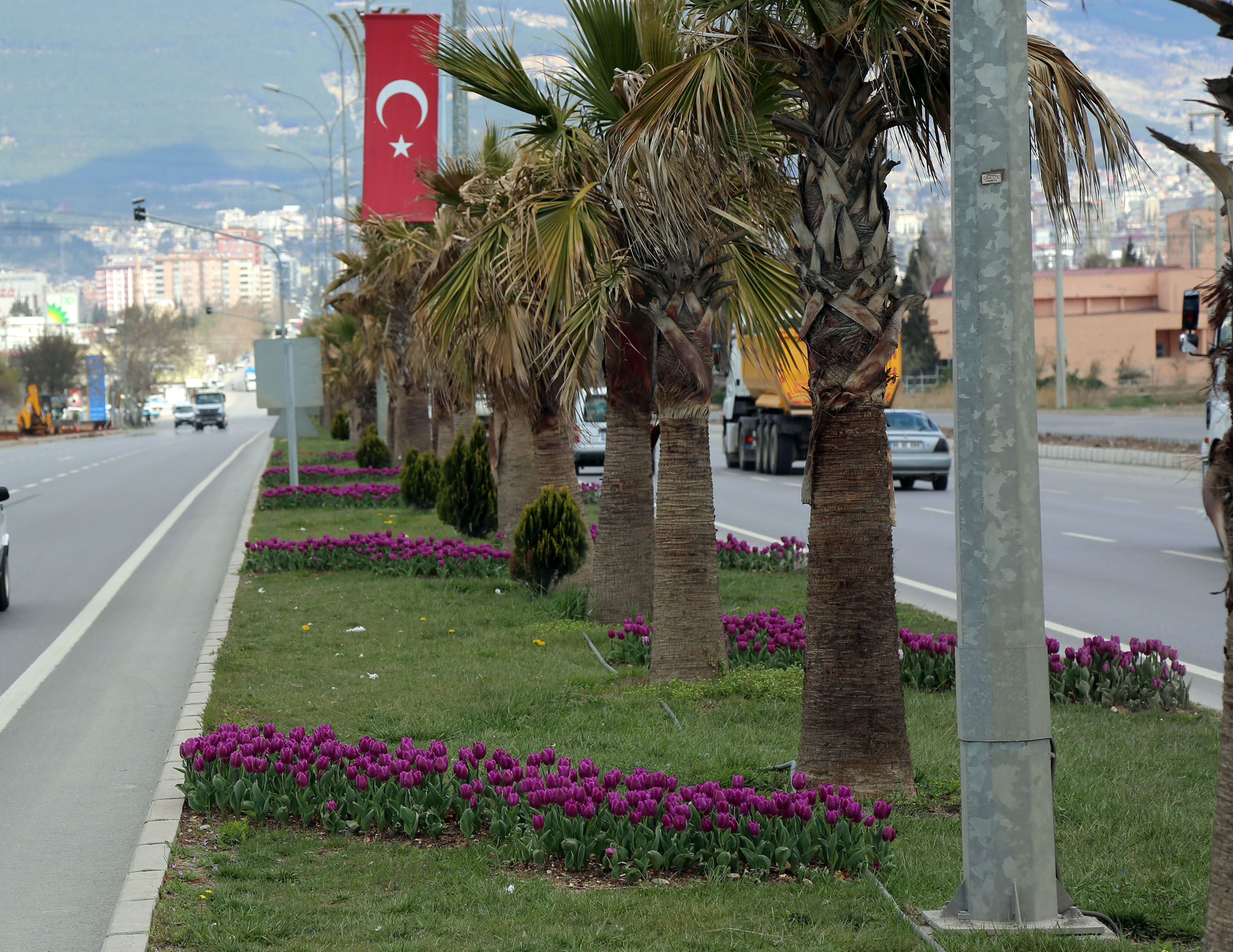 CADDELERDE RENK CÜMBÜŞÜ