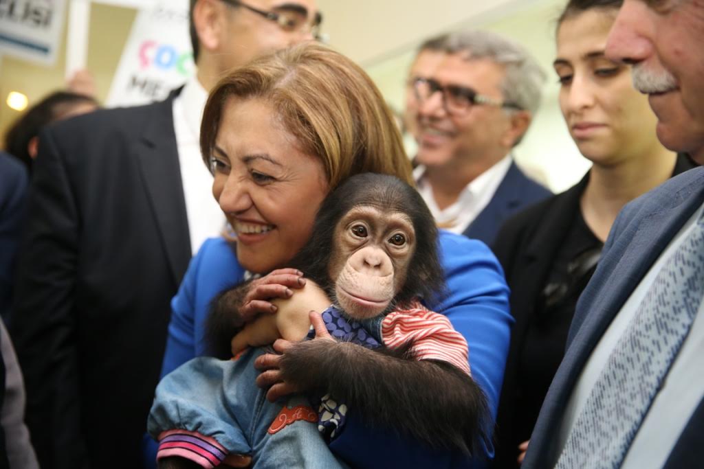 TÜRKİYE’NİN İLK VE TEK ZOOLOJİ MÜZESİ GAZİANTEP’TE AÇILDI