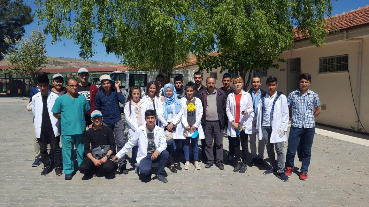 ÖĞRENCİLERE UYGULAMALI HAYVAN BAKIMI