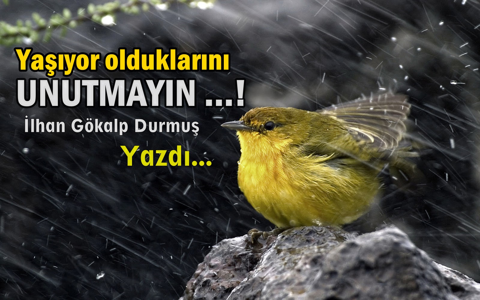Yaşıyor olduklarını UNUTMAYIN