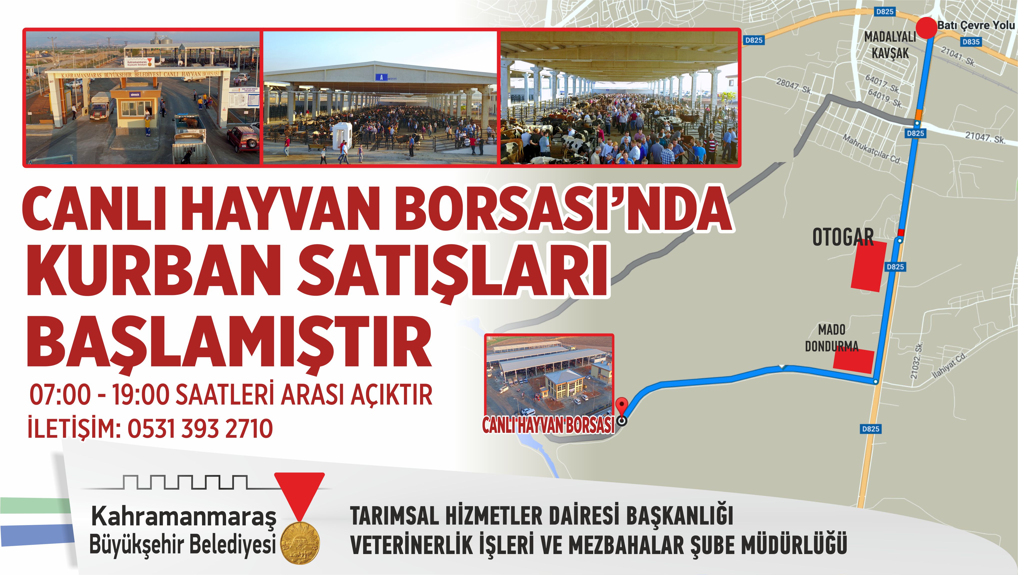 CANLI HAYVAN BORSASINDA KURBAN SATIŞLARI BAŞLADI