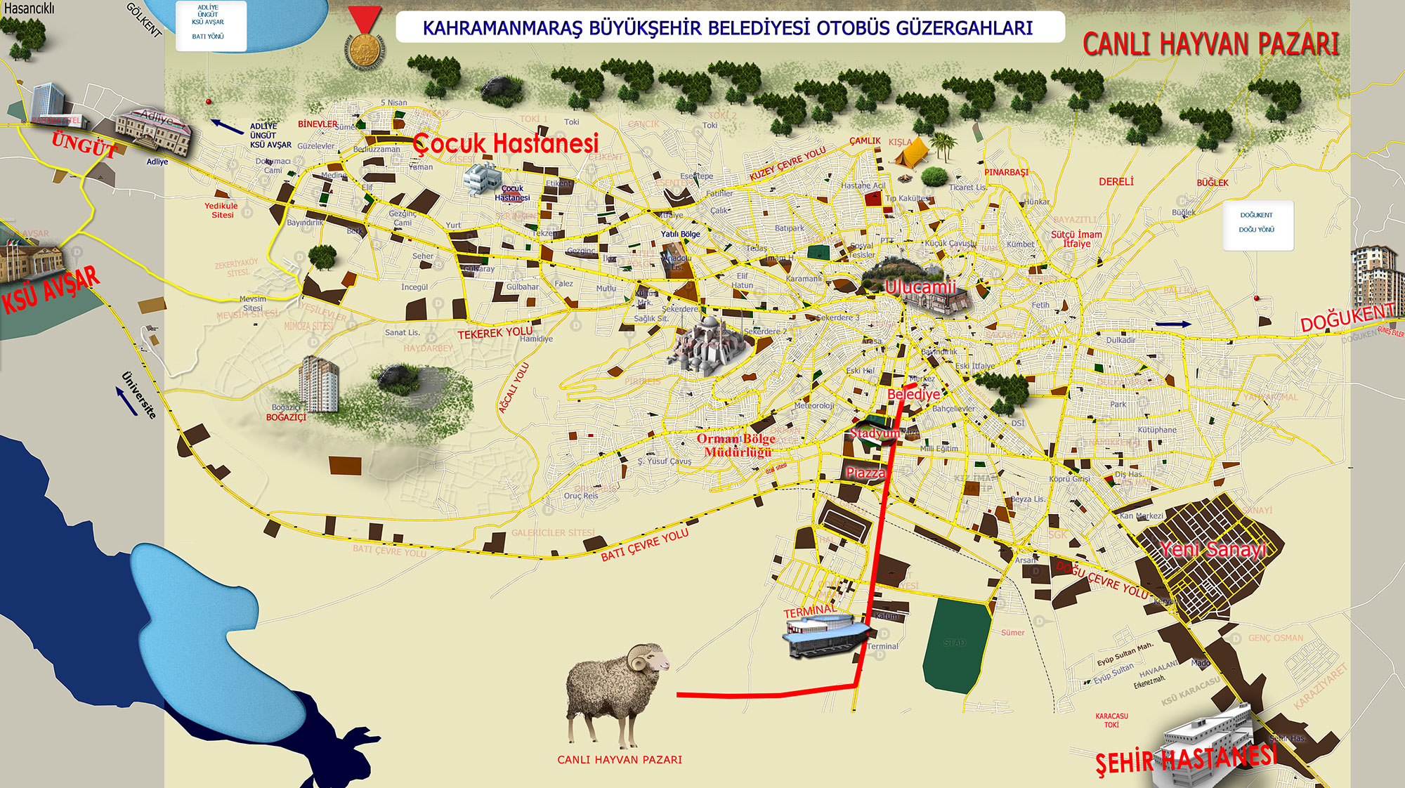 CANLI HAYVAN BORSASI’NA OTOBÜS SEFERLERİ BAŞLADI