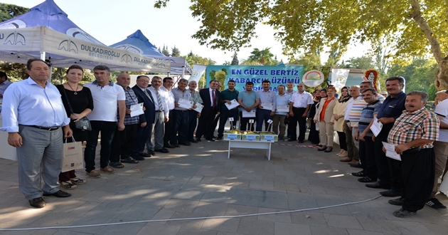 EN GÜZEL BERTİZ KABARCIK ÜZÜMÜ YARIŞMASI YAPILDI