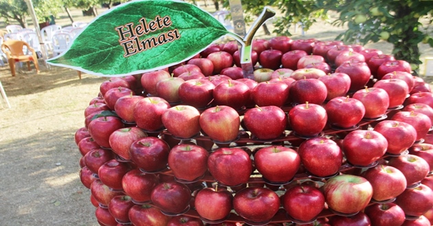HELETE ORGANİK ELMA MERKEZİ OLMAYA ADAY