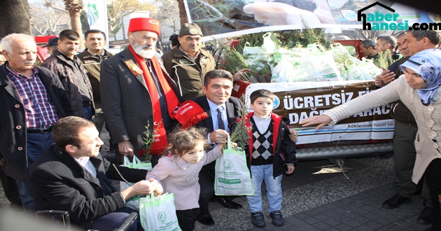 AĞAÇ KESME,FİDAN DİK