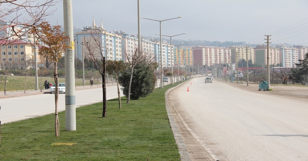 Dulkadiroğlu Direksiyon Sınav-Eğitim Parkurunda Çizgi Yok
