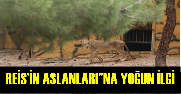 REİS’İN ASLANLARI”NA YOĞUN İLGİ