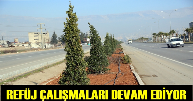 REFÜJLERDE DÜZENLEME ÇALIŞMALARI