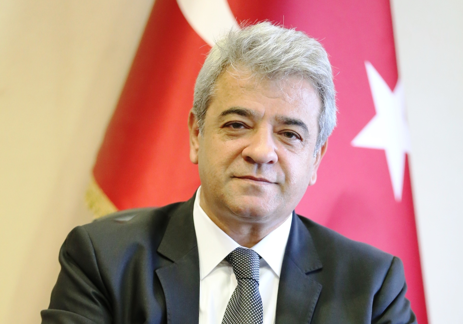 ZEYTİN DALI HAREKÂTI, MİLLİ MESELEDİR