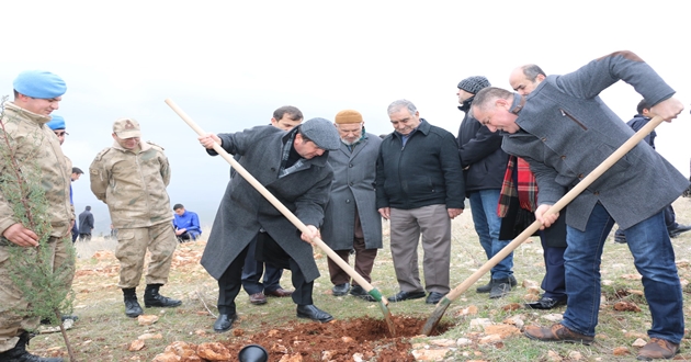 ŞEHİTLER HATIRA ORMANINDA