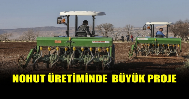 NOHUT ÜRETİMİNDE BÜYÜK PROJE