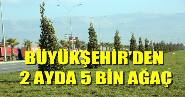 BÜYÜKŞEHİR’DEN 2 AYDA 5 BİN AĞAÇ