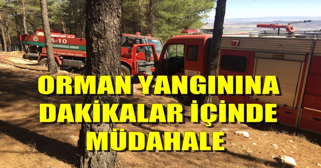 ORMAN YANGININA DAKİKALAR İÇİNDE MÜDAHALE