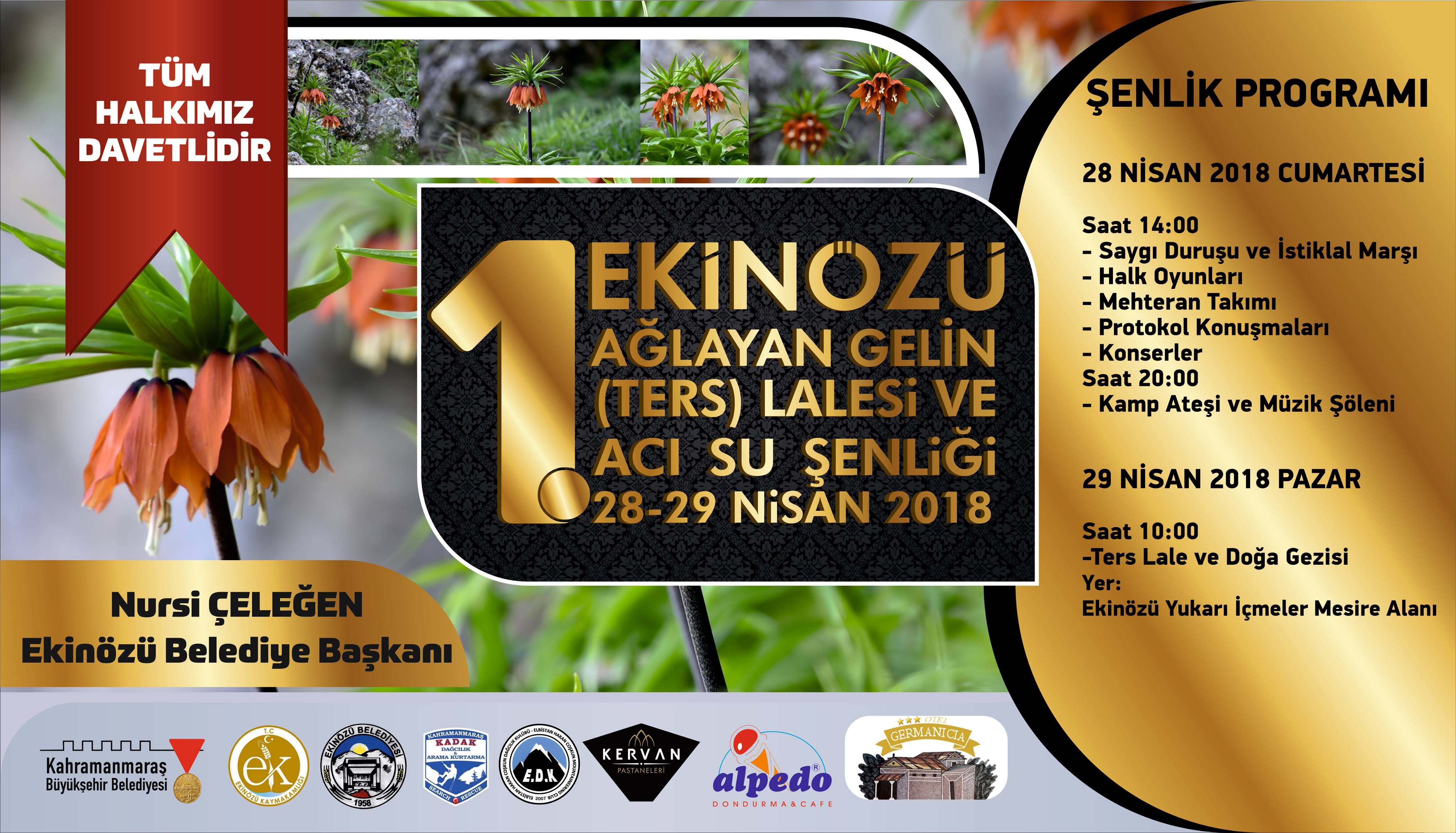 EKİNÖZÜ’NDE TERS LALE VE İÇMELER ŞENLİĞİ BAŞLIYOR