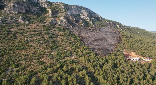 GÜNCELLEME 3 Antalya’nın Kaş ilçesinde çıkan orman yangınları kontrol altına alındı
