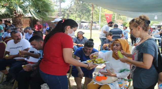 Adana’da 2. Yumurtalık Kültür Sanat ve Turizm Festivali sona erdi