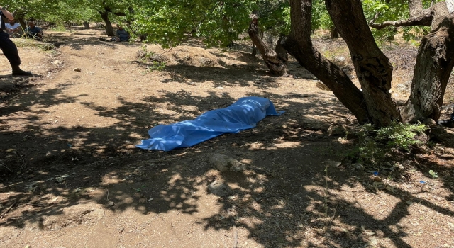 Hatay’da bir kişi kayısı bahçesinde ölü bulundu