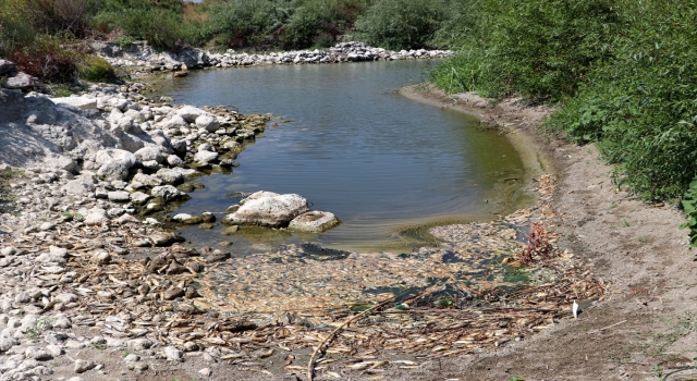 Asi Nehri’nde balık ölümleri görülmesi üzerine çalışma başlatıldı