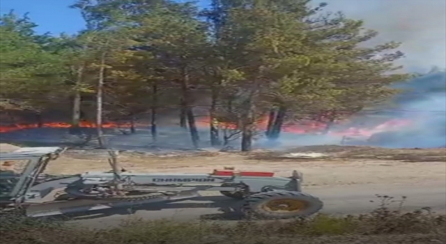 Adana’da çıkan orman yangınına müdahale ediliyor