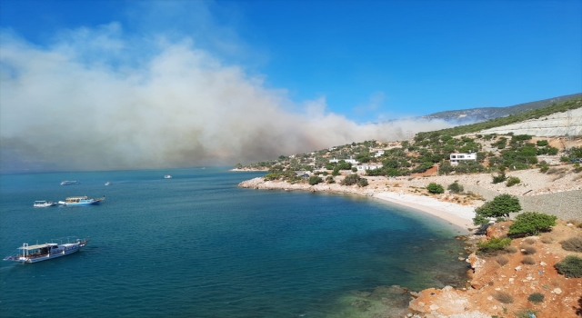 Mersin’in Silifke ilçesinde çıkan orman yangınına müdahale ediliyor