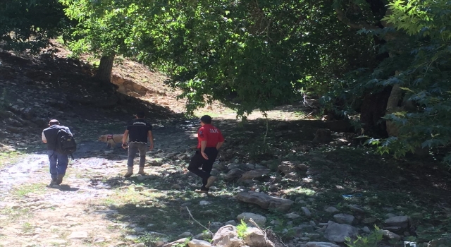 Kahramanmaraş’ta kaybolan çocuk ormanda bulundu