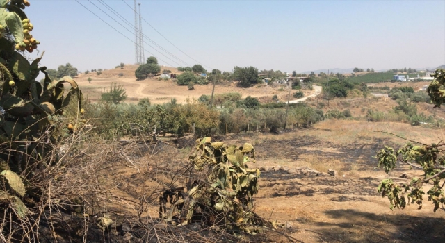 Mersin’de tarım arazisinde çıkan yangın söndürüldü
