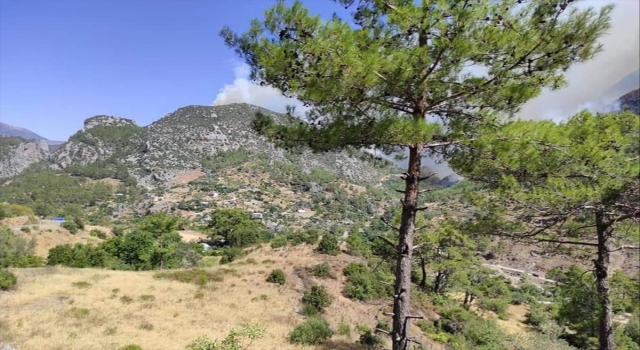Antalya Gündoğmuş’taki orman yangınında bir mahalle tahliye edildi, 33 kişi yurda yerleştirildi
