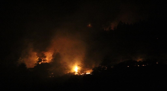Hatay’da çıkan orman yangınına müdahale ediliyor