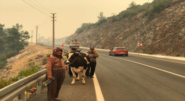 Alanya’daki yangına havadan ve karadan müdahale ediliyor