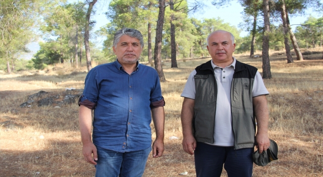 Kahramanmaraş Orman Bölge Müdürü Koç, orman yangınlarını önlemeye yönelik çağrıda bulundu: