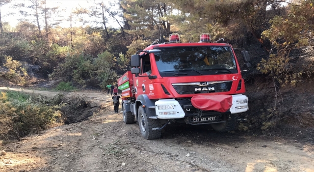 GÜNCELLEME Hatay Samandağ’da çıkan orman yangını kontrol altına alındı