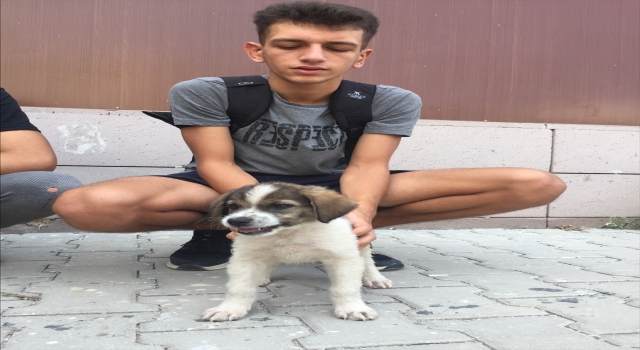 Yangından kurtarılan yavru köpek ”Yanık”, afet ekiplerinin maskotu oldu