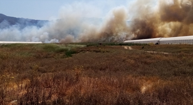 Kaş’ta sazlık alanda çıkan yangına müdahale ediliyor