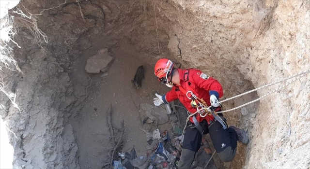 AKUT ekipleri, Kaş’ta kuyuya düşen domuz yavrusunu kurtardı