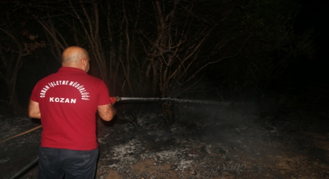 Adana’da zeytin bahçesinde çıkan yangın söndürüldü