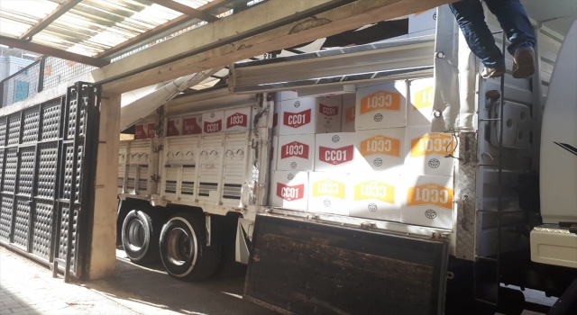 Hatay’da 3 milyon 50 bin kaçak makaron ele geçirildi