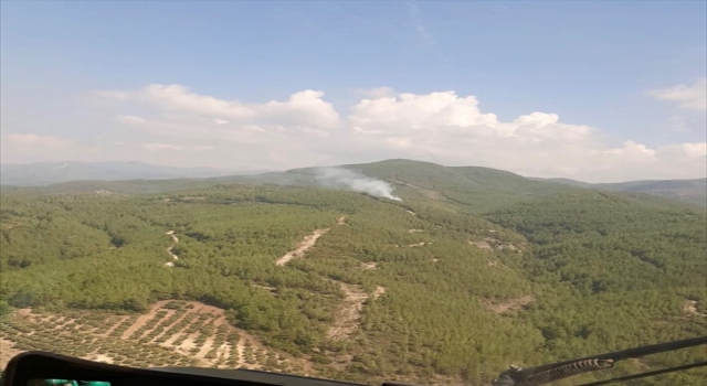 GÜNCELLEME Osmaniye’de çıkan orman yangını kontrol altına alındı