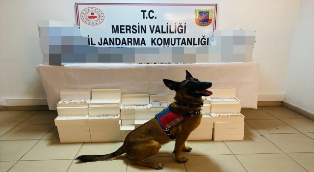 Mersin’de 3 bin 481 paket kaçak sigara ele geçirildi