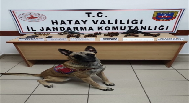 Hatay’da evinde silah ve mühimmat ele geçirilen şüpheli yakalandı