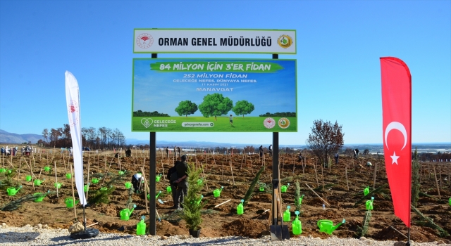 Antalya’daki orman yangınının izlerini silecek ilk fidanlar toprakla buluştu