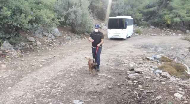Mersin’de kaybolan 3 yaşındaki çocuğu arama çalışmaları devam ediyor