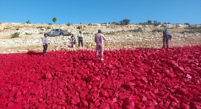 Mersin’de 22 dönümlük araziye işlenen Türk bayrağı 10 kişiyle 40 günde boyandı