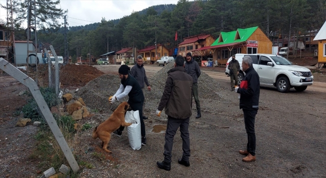Osmaniye’de sokak ve yaban hayvanları için mama ve yem bırakıldı