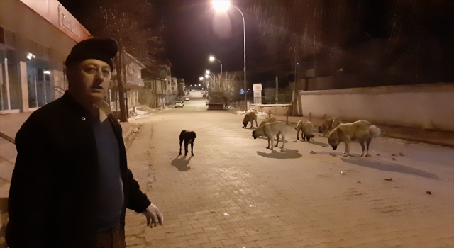 Sokak hayvanlarını besleyerek diğer vatandaşlara örnek olmak istiyor