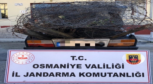 Osmaniye’de hırsızlık yaptıkları iddiasıyla 2 şüpheli yakalandı