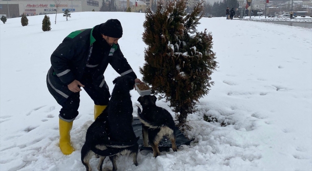 Kahramanmaraş ve Malatya’da sokak hayvanları için yem bırakıldı