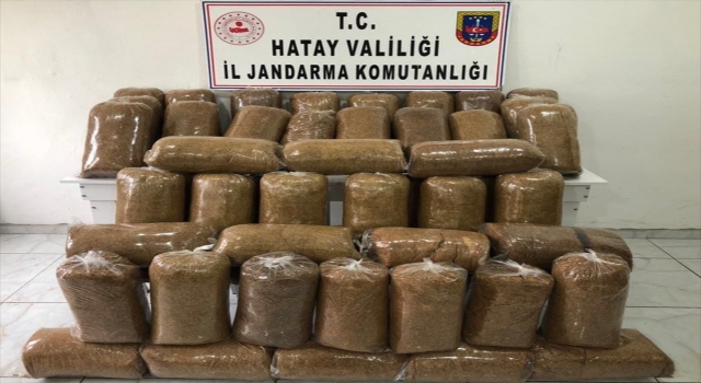 Hatay’da 250 kilogram kaçak tütün ele geçirildi