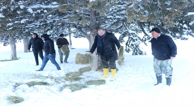 Burdur’da yaylaya yaban hayvanları için yem bırakıldı