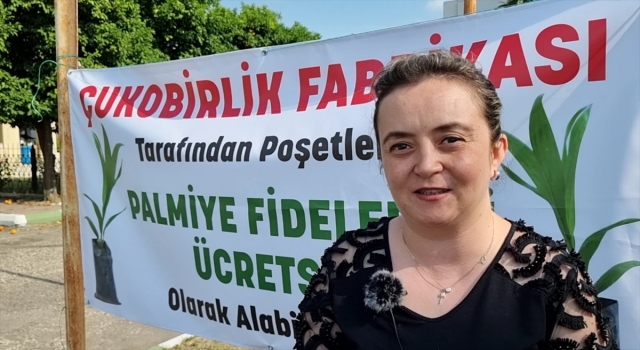 Adana’da Çukobirlik ücretsiz palmiye fidesi dağıtıyor